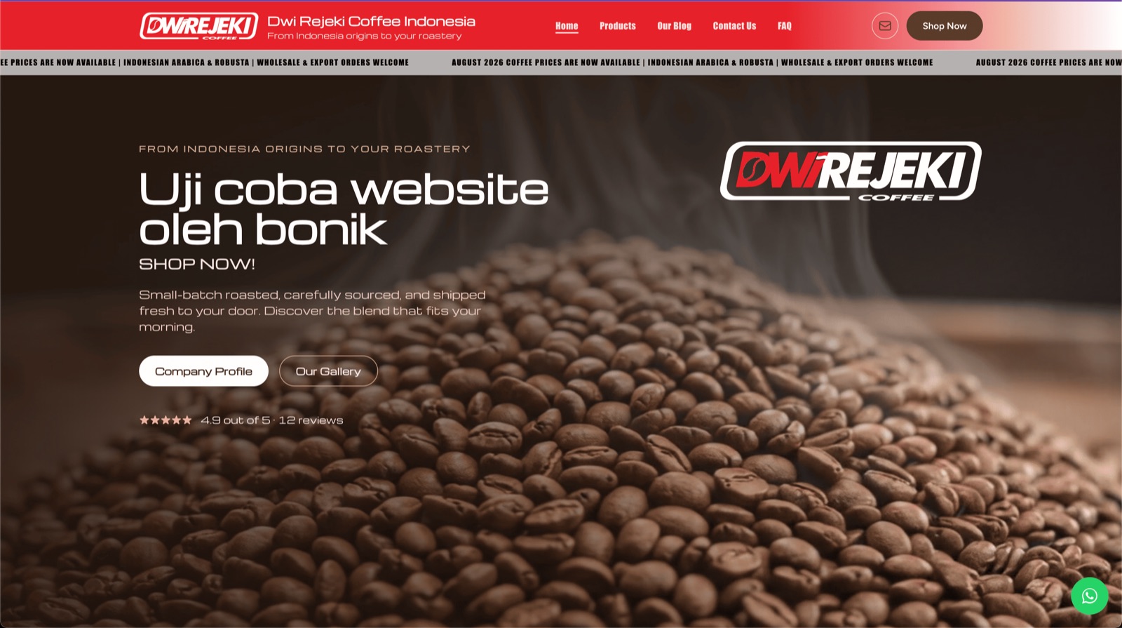 Tampilan Website Ekspor & Katalog B2B